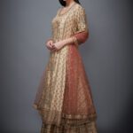 Beige & Rust Embroidered Suit Set