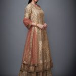 Beige & Rust Embroidered Suit Set
