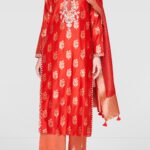 The Embroidered Avani Set